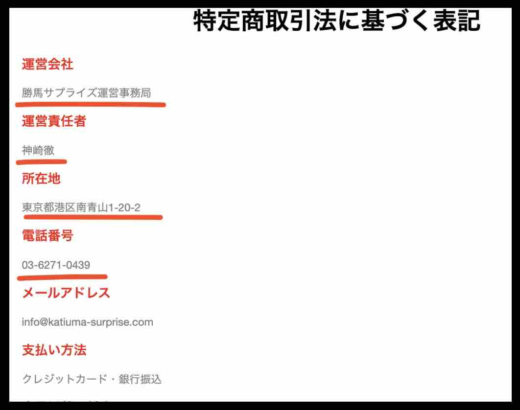勝馬サプライズという競馬予想サイトの運営会社情報