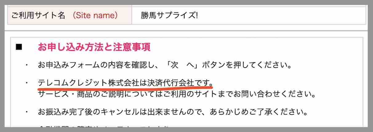 勝馬サプライズの振込先口座名義を調べた結果