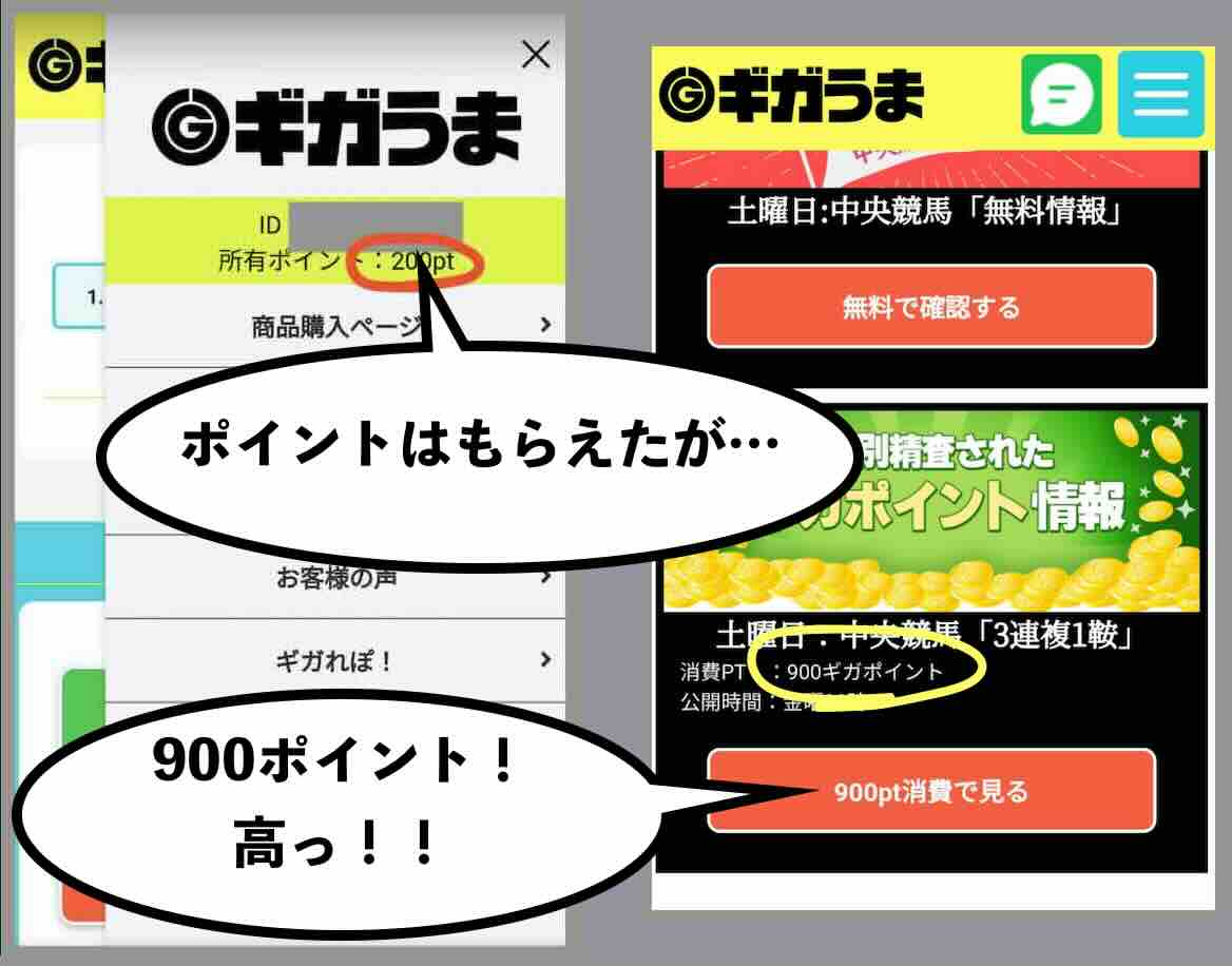 ギガうまのポイント還元を検証