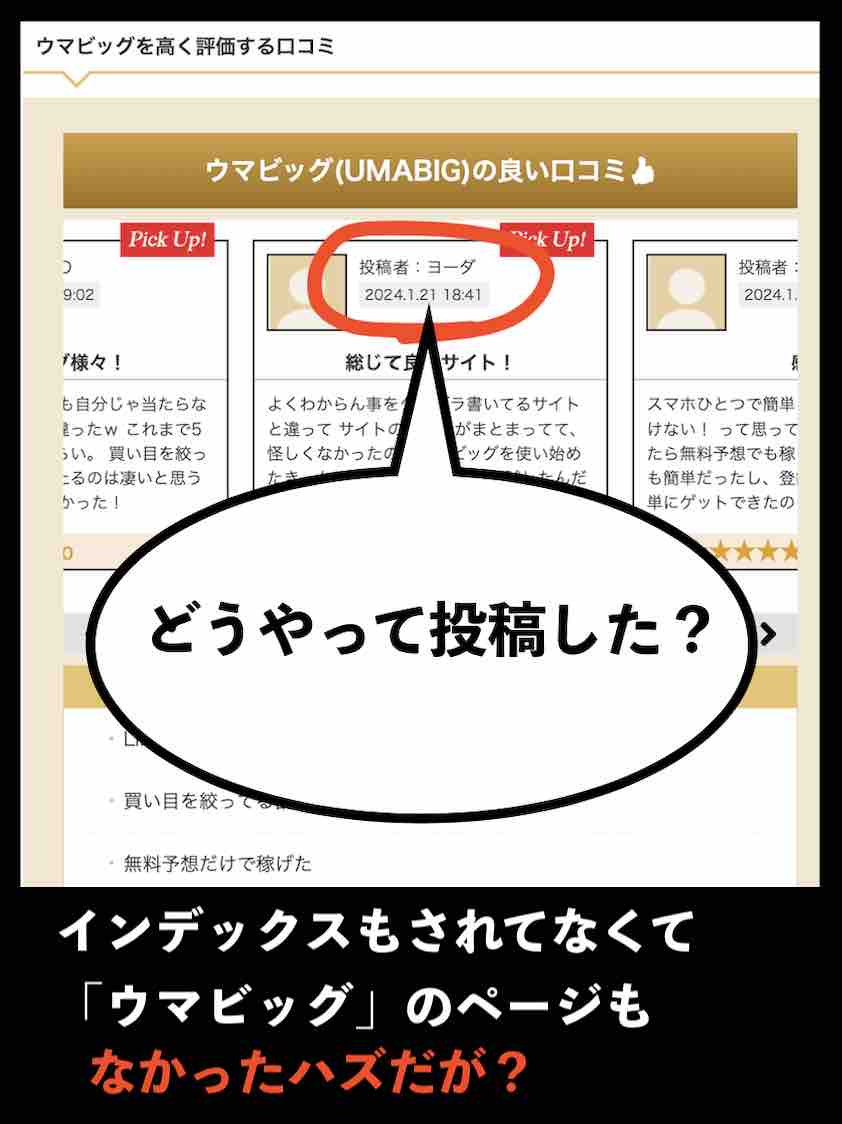 ウマビッグ(UMABIG)の口コミは自作自演?