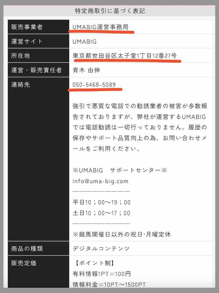 ウマビッグ(UMABIG)という競馬予想サイトの運営会社情報