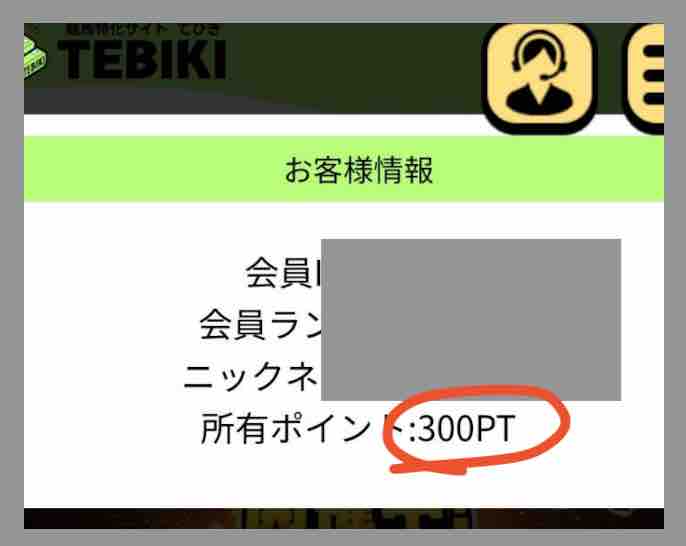 TEBIKI(てびき)のポイント還元を検証