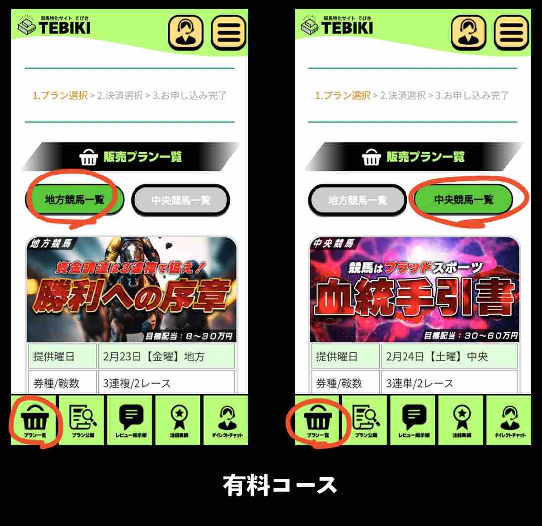 TEBIKI(てびき)という競馬予想サイトが提供する競馬予想