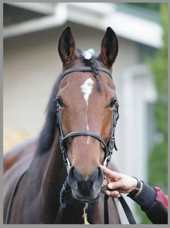 リバティアイランド