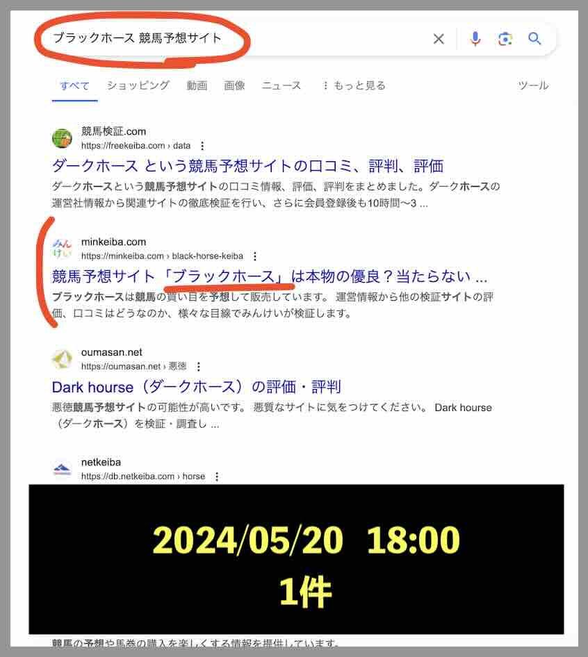 ブラックホースのサイト情報検索結果
