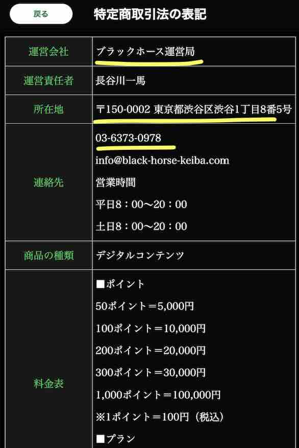 ブラックホースという競馬予想サイトの運営会社情報