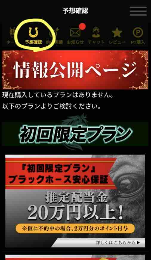 ブラックホースという競馬予想サイトが提供する競馬予想