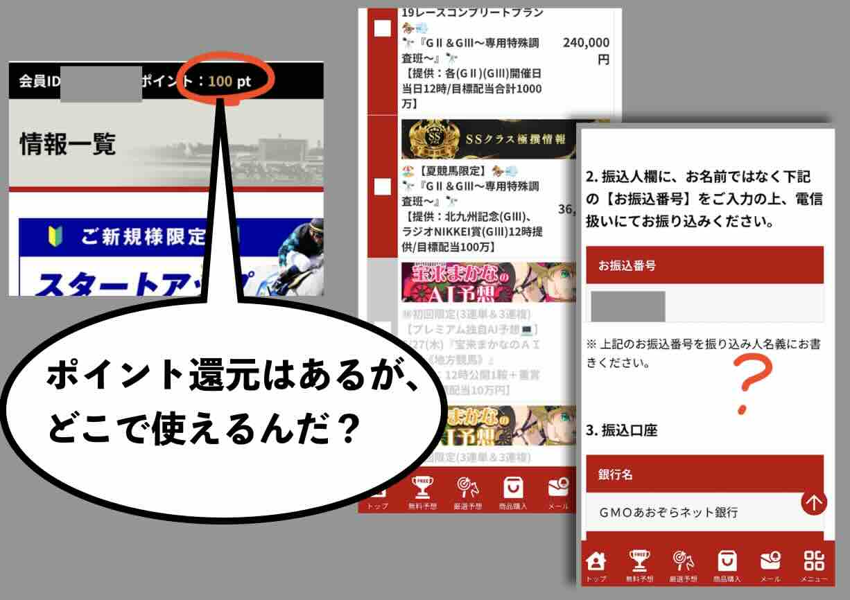 プレミアム(PREMIUM)のポイント還元が使えない?