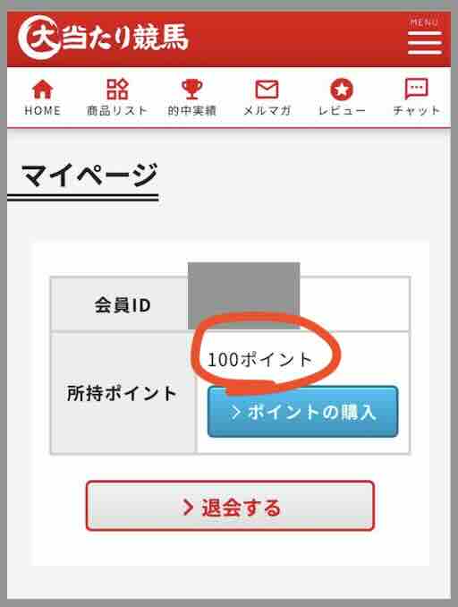 大当たり競馬のポイント還元を検証