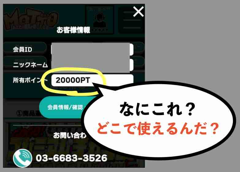 MOTTO(モット)の還元ポイントは使えない?