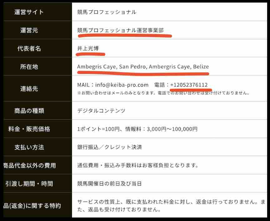 競馬プロフェッショナルという競馬予想サイトの運営会社情報