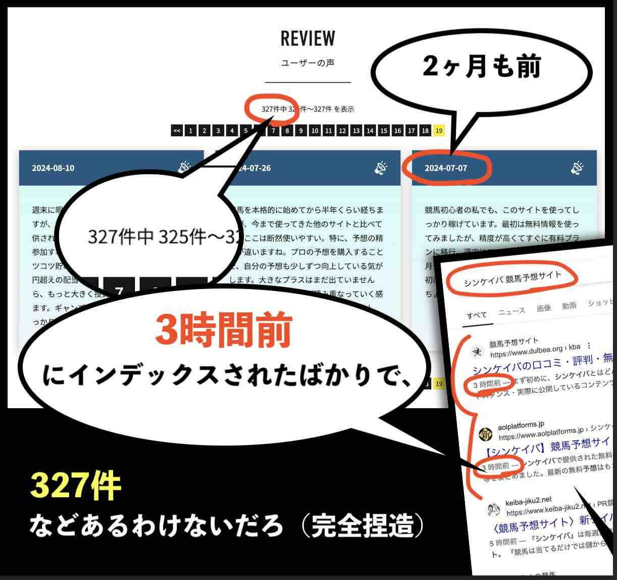 シンケイバのレビューは捏造確定