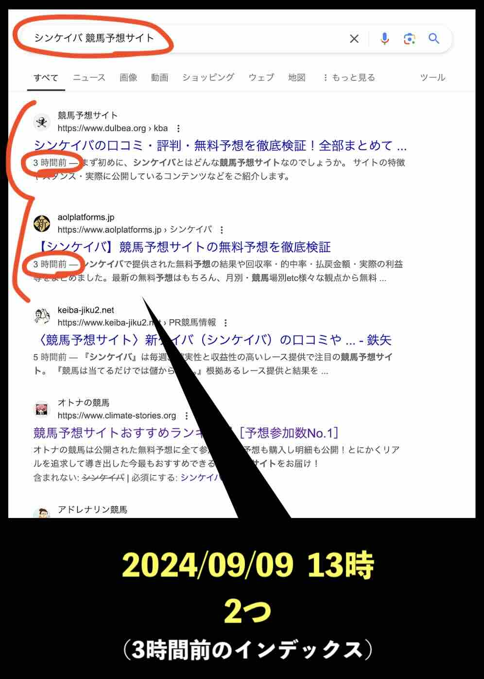 シンケイバのサイト情報検索結果