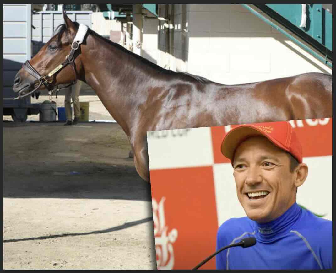 メイデイレディとランフランコ・デットーリ