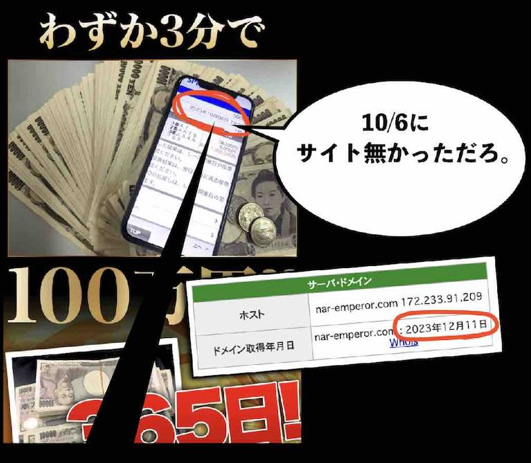 ドメイン取得日より前の実績掲載の例