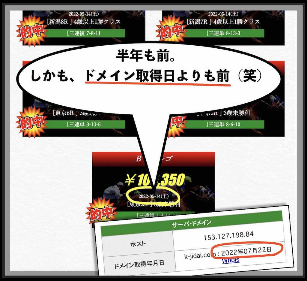 ドメインより前の実績