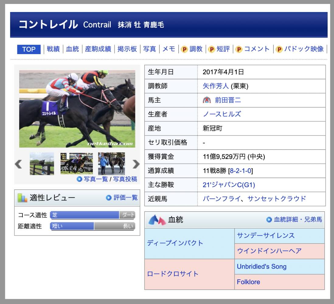 競馬の楽しみ方～血統編
