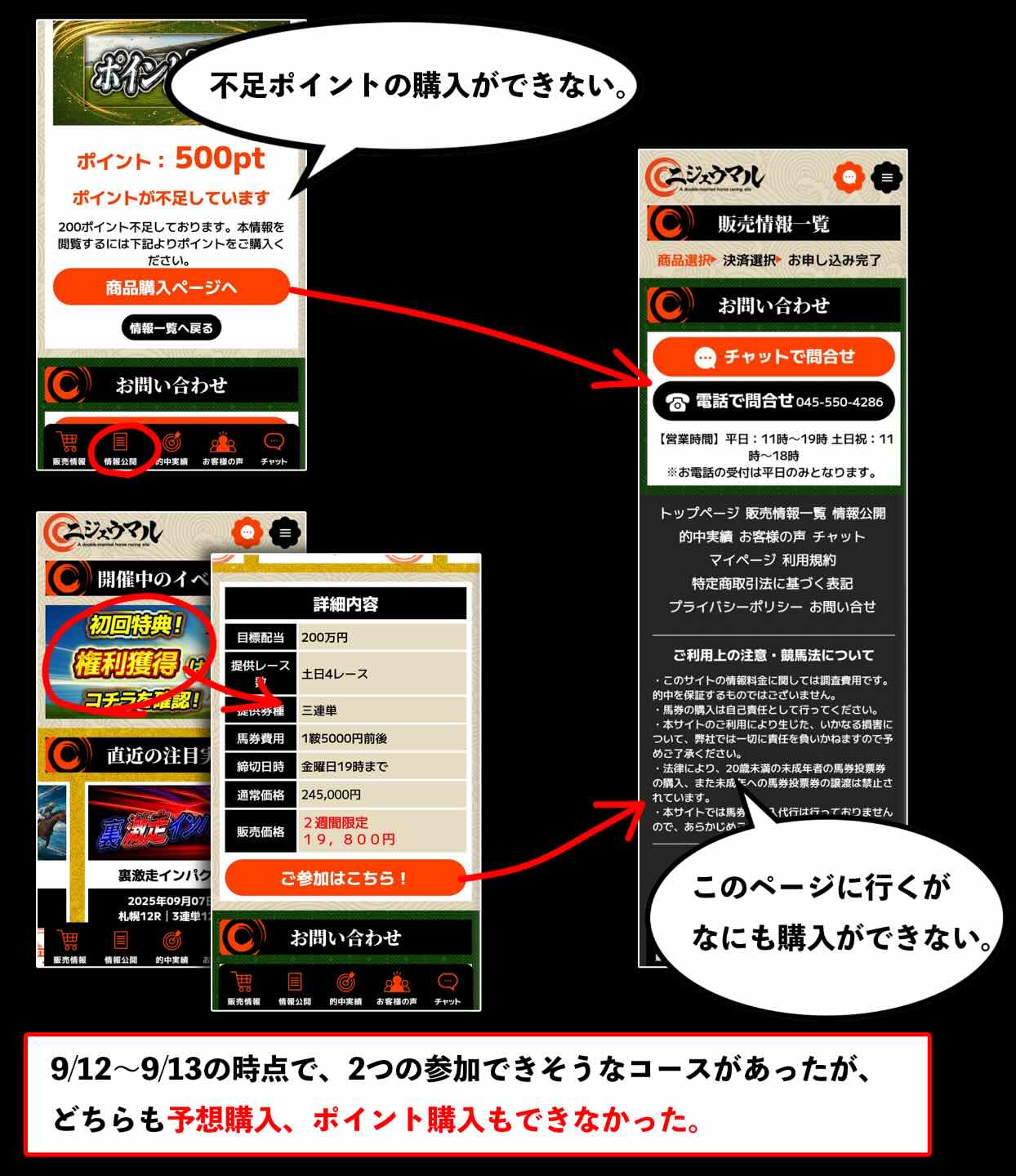 ニジュウマルのサイトはまだ稼働していない?