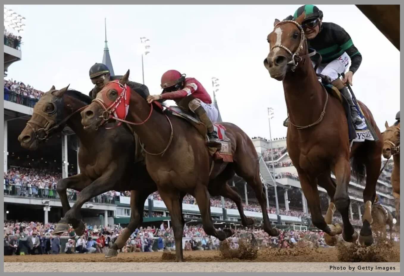 競馬の楽しみ方~注目馬編