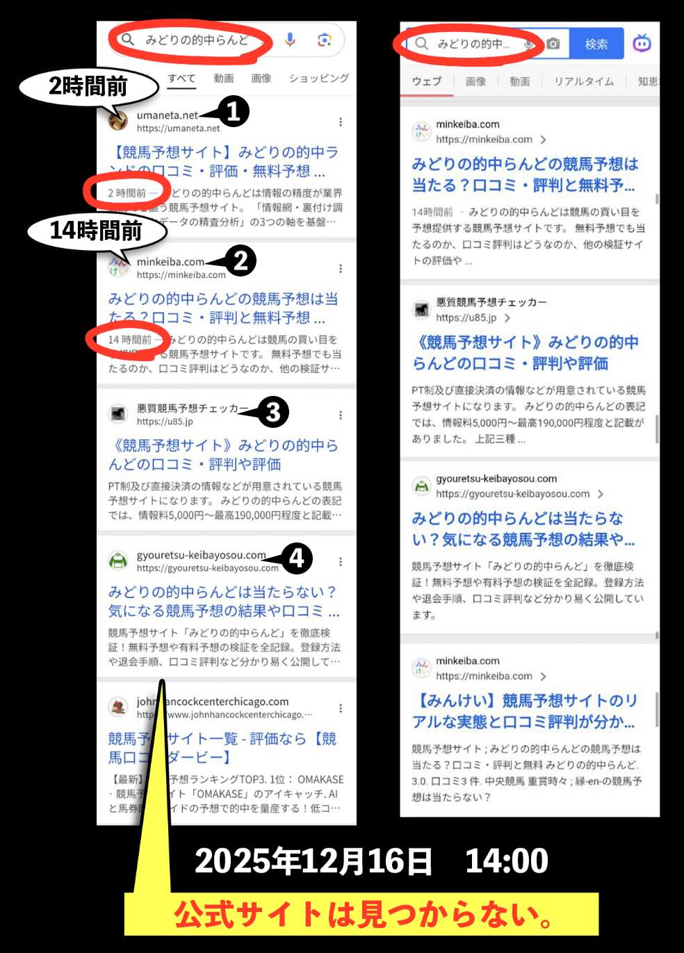 みどりの的中らんどの情報検索結果結果