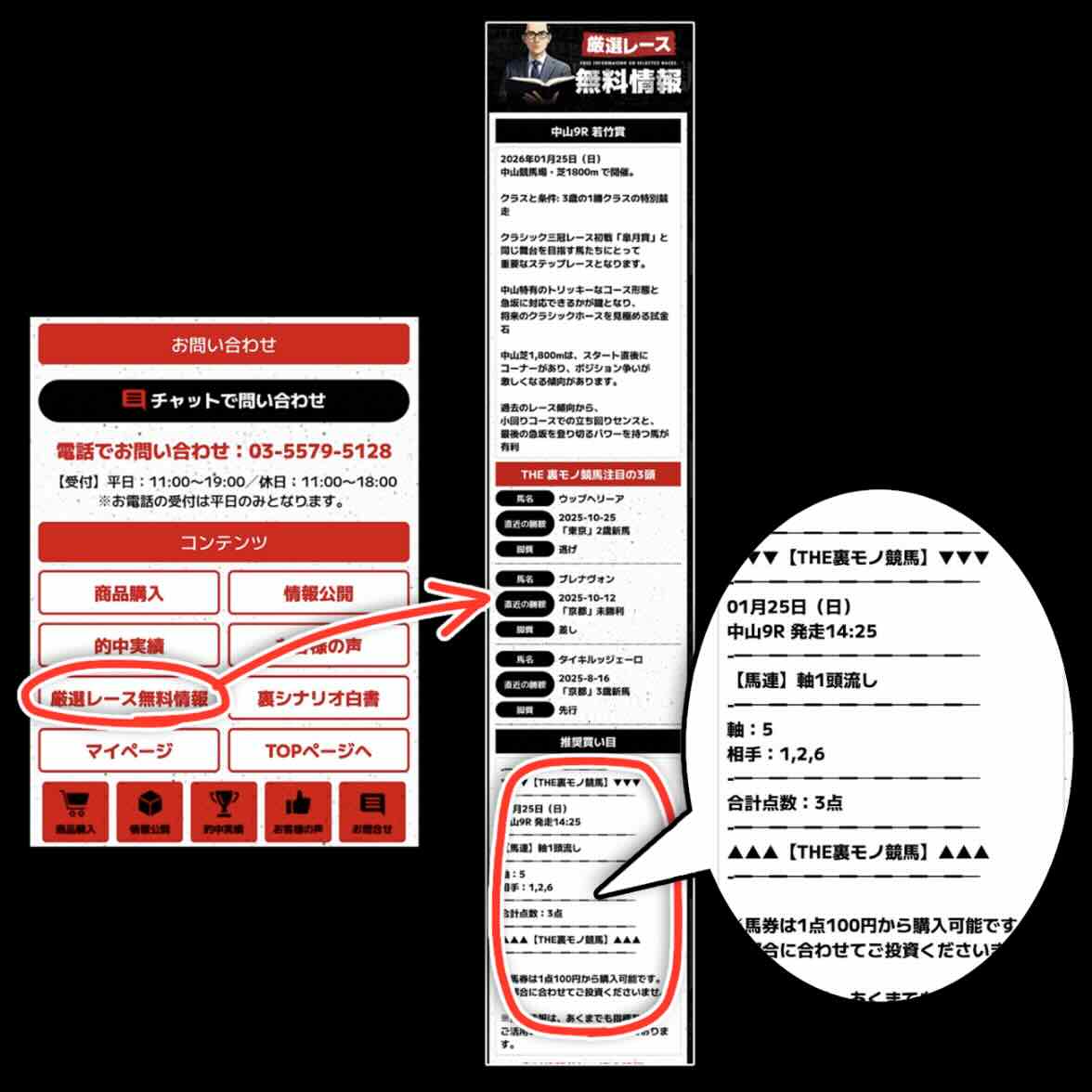 裏モノ競馬の無料予想