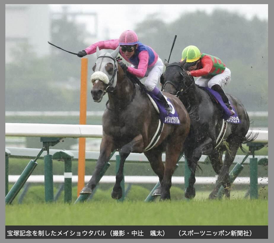 競馬の楽しみ方~注目馬編
