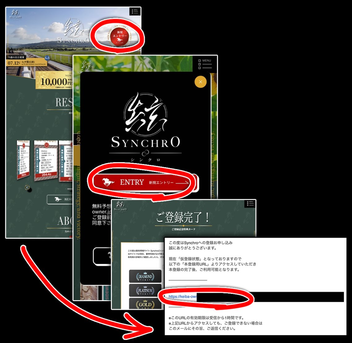 シンクロという競馬予想サイトへの会員登録