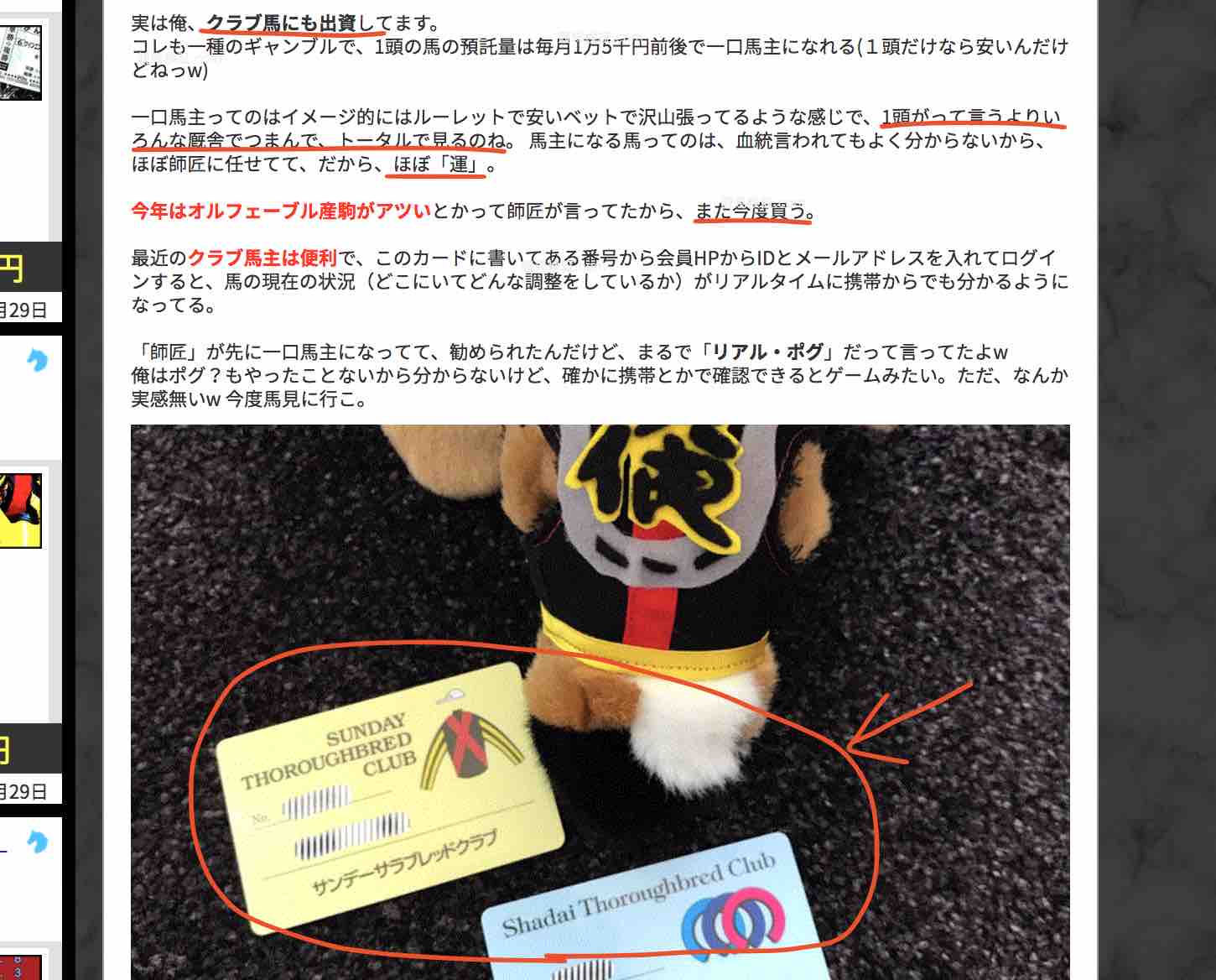 俺の競馬予想(OREKEIBA)という競馬予想サイトの俺は馬主か