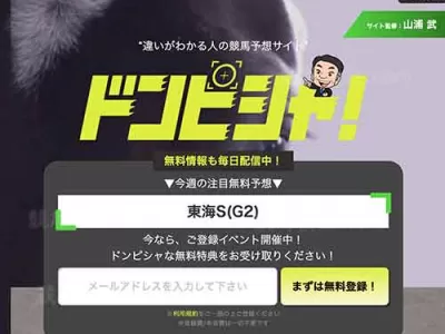 ドンピシャ　競馬予想サイト