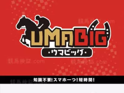 ウマビッグ(UMABIG)　競馬予想サイト